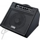 Laney Drum Hub Wedge - 40W Dual Input