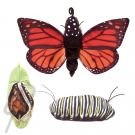 Folkmanis Caterpillar To Butterfly