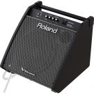 Roland 180W Electronic Perc. Monitor Amp